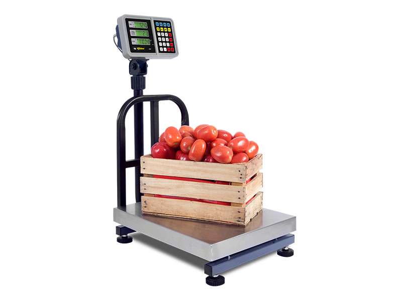 I-PEP-App