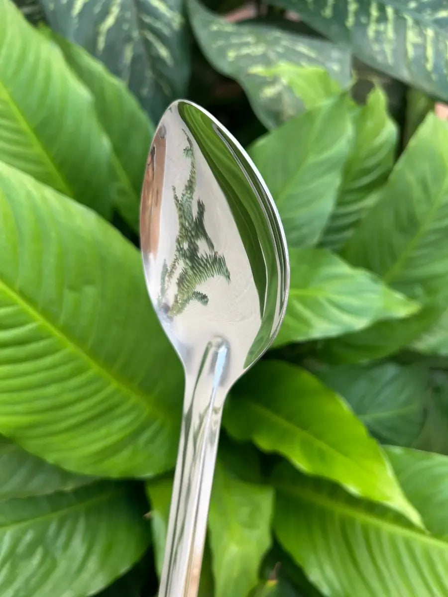Cuchara para Cocinar Mango Plástico 15pg SLPBA311