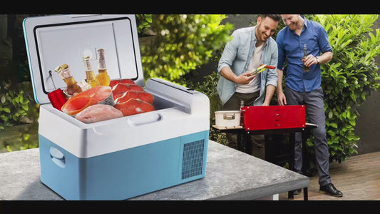Refrigerador Portátil 22L VEVOR BX-YSSCZBXSH-C221V1